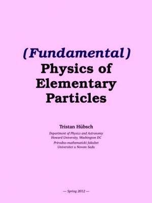 ( Fundamental ) Physics of Elementary Particles