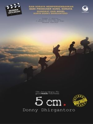 5 cm