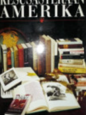 GARIS BESAR KESUSTRAAN AMERIKA